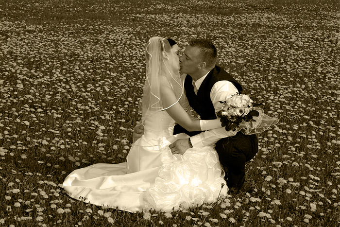 svatebn&iacute; foto